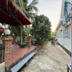 cần cho thuê sân vườn