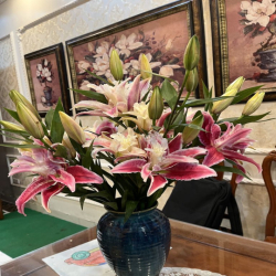 Cho thuê nhà ở Kim Mã