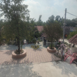 Cho thuê nhà nguyên căn, 1 trệt , 1 lầu , 2 phòng ngủ