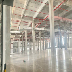  kho xưởng khu công nghiêp long hậu ,huyện cần giuộc , Tỉnh Tây Ninh 