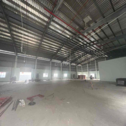 🔴 CHO THUÊ KHO XƯỞNG ĐỨC HÒA MỚI XÂY DỰNG HÌNH ẢNH THẬT GIÁ TỐT