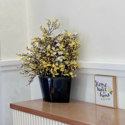 Cho thuê villa Novaworld Phan Thiết 2PN 3WC dài hạn