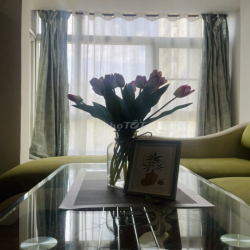 CHÍNH CHỦ CHO THUÊ CĂN HỘ GARDEN 1 - PHÚ MỸ HƯNG QUẬN 7