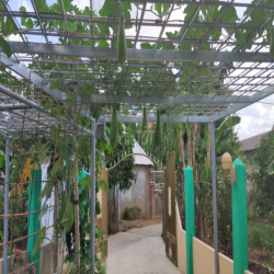 Bán nhà vườn 150m2 Diên Lạc - Cách Tỉnh lộ 2 chỉ 2 phút