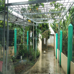 Bán nhà vườn 150m2 Diên Lạc - Cách Tỉnh lộ 2 chỉ 2 phút