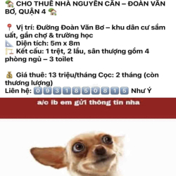 cần cho thuê nhà Quận 4