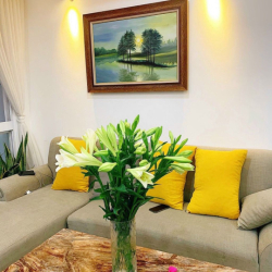 Cho thuê căn hộ Remax Plaza Quận 6  ✅ 