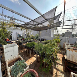 CHO THUÊ BIỆT THỰ LÀM VPCTY - Ở - BÁN ONLINE