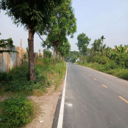 Mặt bằng 9000m2 Vành Đai 3 quận 9