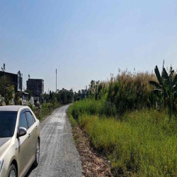 cho thuê đất mt rạch bình thuận đường 167