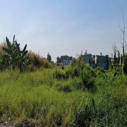 cho thuê đất mt rạch bình thuận đường 167