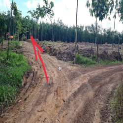 Cho thuê đất trống CLN SKC xã An Long, TP. HCM diện tích 4,5 ha