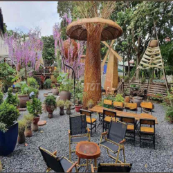 Sang quán Cafe 1000m2 mặt tiền Hà Huy Giáp-Quận 12,mặt bằng 8tr