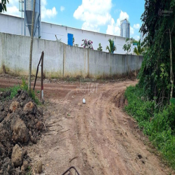 Cho thuê đất trống CLN SKC xã An Long, TP. HCM diện tích 4,5 ha