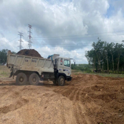 Cho thuê đất trống CLN SKC xã An Long, TP. HCM diện tích 4,5 ha