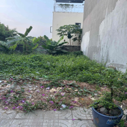 Cho thuê đất giá rẻ Đường