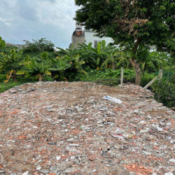 Cho thuê đất trồng rau