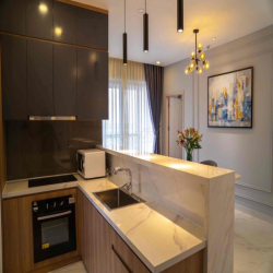 Cho thuê Top house tầng cao nhất Midtown M5, Phú Mỹ Hưng, Q7. Căn góc