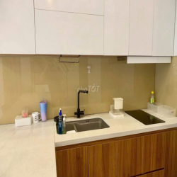 Cho thuê Duplex Nam Sài Gòn Q7 giá tốt