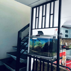 Nhà 3x11 giáp Quận 1 cho thuê nhanh!