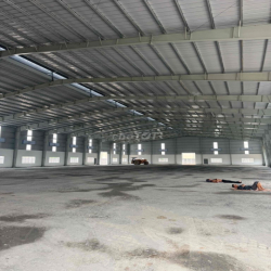 Cho thuê nhà xưởng mới 100% phù hợp đa ngành nghề trong kcn Nam Thuận