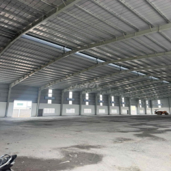 Cho thuê nhà xưởng mới 100% phù hợp đa ngành nghề trong kcn Nam Thuận