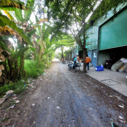 250mv xưởng Vườn lài phường An Phú Đông quận 12. cho thuê 17tr tháng