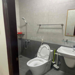 Chính Chủ Cho Thuê Nhà MT ĐS 9 Lý Phục Man 5x14 4pn 4wc NT VIP 24-26tr