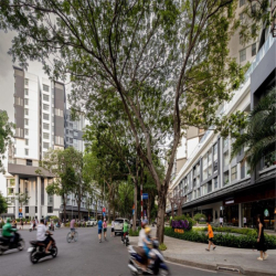 Cho thuê shophouse Celadon City trực tiếp Gamuda Land
