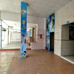 Cho Thuê Nhà Đường Hoàng Việt, Tân Bình ( 15x20m - KD TỰ DO )