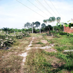 cho thuê 4000m2 đất trung tâm xã Nhuận Đức, có chô ở