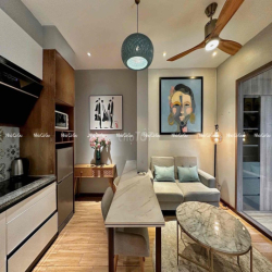 căn hộ 1pn sân vườn ngay sân bay - chỉ tính điện - full nội thất