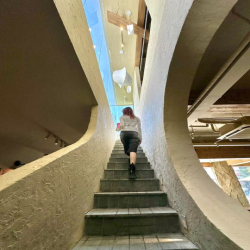 Cho thuê nhà MT Nơ Trang Long, P11, Bình Thạnh. DT: 20x10m. Trệt lửng