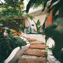 ❣️Villa Phong Cách Indochine&Rustic ở Thảo Điền gần 1000m2 giá 4500$