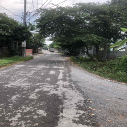 Nhà nguyên căn mặt tiền đường 177 cho thuê