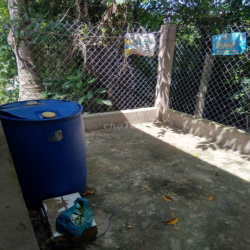 Cho Thuê Nhà Tân Mỹ Chánh