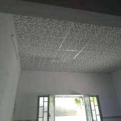Cho Thuê Nhà Tân Mỹ Chánh
