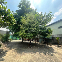 cho thuê đất trống MT gò dầu 600m2 vị trí siêu đẹp