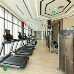 Cho thuê căn hộ SaiGon South giá tốt nhà đẹp 2Pn 13-14tr, 3Pn 17-19tr