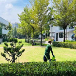 Cần cho thuê căn nhà phố Camellia 15 triệu 3pn3wc nhà có nội thất