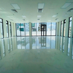 🏢 CHO THUÊ TÒA NHÀ MẶT TIỀN ĐƯỜNG MAI THỊ LỰU DT 16,5 X 25M  QUẬN 1