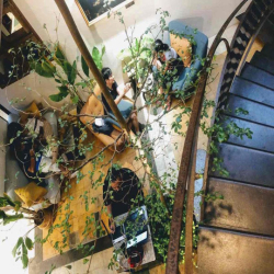 CHO THUÊ NHÀ TRẦN HƯNG ĐẠO P.Bến Thành Ngang 8m giá thuê chỉ 40 triệu