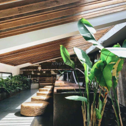 CHO THUÊ NHÀ TRẦN HƯNG ĐẠO P.Bến Thành Ngang 8m giá thuê chỉ 40 triệu