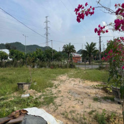 mặt bằng hot cho thuê