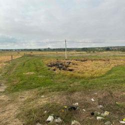 Cho thuê đất Mặt tiền quốc lộ 1A