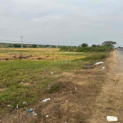 Cho thuê đất Mặt tiền quốc lộ 1A