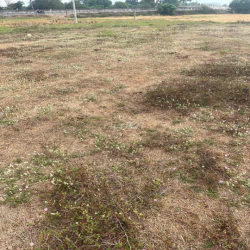 Cho thuê đất Mặt tiền quốc lộ 1A