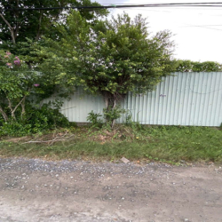Cho thuê đất xây xưởng 1065m2 (full thổ cư) Bình Mỹ, Củ Chi, TPHCM