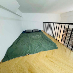 Duplex q6