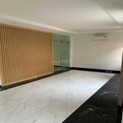 Cho thuê biệt thự Cityland P10 Gò Vấp. Diện tích 12x20 8PN 7WC !